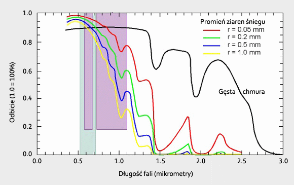 Ryc. 3. Intensywność odbicia promieniowania słonecznego przez śnieg zmienia się z długością fali promieniowania elektromagnetycznego. Dla fal krótkich (zakres widzialny, 0,4-0,7 mikrometra) odbicie jest bardzo silne. Słabnie, gdy długość fali wzrasta: dla 1,6 mikrometra prawie całe promieniowanie jest przez śnieg pochłaniane. Linie kolorowe oznaczają śnieg o różnej wielkości ziaren. Linia czarna to odbicie dla chmury - podobnie jak śnieg, jest ona jasna w zakresie widzialnym, ale w odróżnieniu od śniegu, pozostaje jasna także w bliskiej podczerwieni. Porównaj wykres z obrazami z ryc. 2.